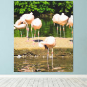 Afrika Afrikaanse Dierenbek | Grappige Flamingo li Canvas Afdruk (Insitu (Houten vloer))