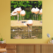 Afrika Afrikaanse Dierenbek | Grappige Flamingo li Canvas Afdruk (Insitu (Woonkamer))