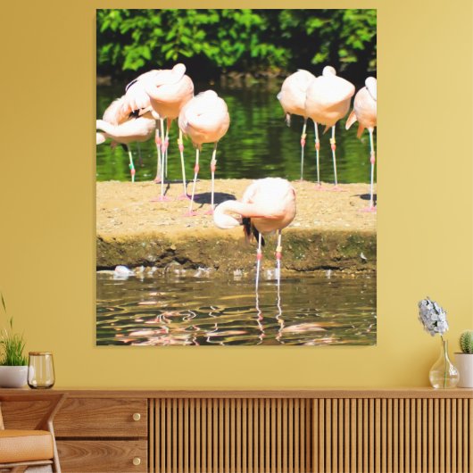 Afrika Afrikaanse Dierenbek | Grappige Flamingo li Canvas Afdruk (Insitu (Woonkamer))