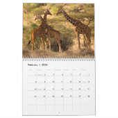 Afrika Agenda 2015 van McDonald Wildlife Kalender (Feb 2026)