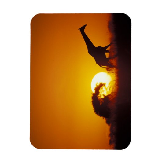 Afrika, Botswana, Chobe National Park, Giraffe 2 Magneet (Verticaal)