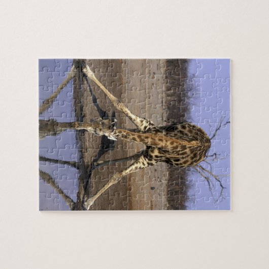 Afrika, Botswana, Chobe National Park, Giraffe Legpuzzel (Horizontaal)