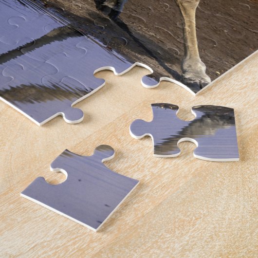 Afrika, Botswana, Chobe National Park, Giraffe Legpuzzel (Zijkant)