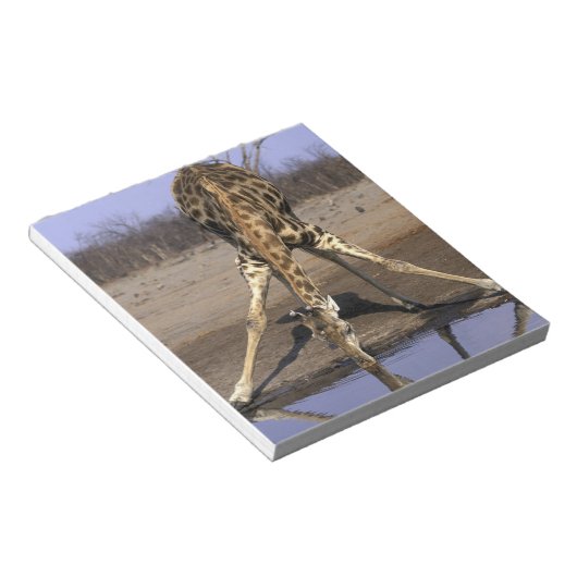 Afrika, Botswana, Chobe National Park, Giraffe Notitieblok (Schuin)