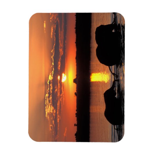 Afrika, Botswana, Chobe National Park, Herd Magneet (Verticaal)