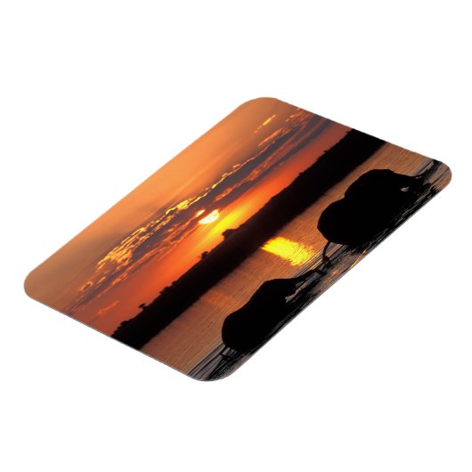 Afrika, Botswana, Chobe National Park, Herd Magneet (Linkerzijde)