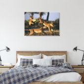 Afrika, Botswana, Chobe National Park, Leeuwinnen Canvas Afdruk (Insitu (Slaapkamer))