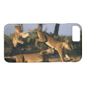 Afrika, Botswana, Chobe National Park, Lionesses Case-Mate iPhone Case (Achterkant (Horizontaal))