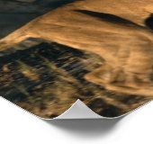 Afrika, Botswana, Chobe National Park, Lionesses Poster (Hoek)