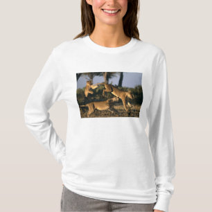 Afrika, Botswana, Chobe National Park, Lionesses T-shirt