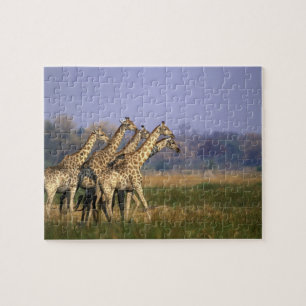 Afrika, Botswana, Moremi Game Reserve Legpuzzel
