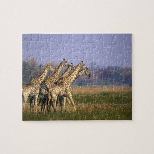 Afrika, Botswana, Moremi Game Reserve Legpuzzel (Horizontaal)