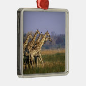 Afrika, Botswana, Moremi Game Reserve Metalen Ornament (Rechts)