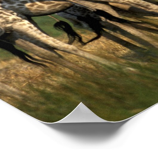 Afrika, Botswana, Moremi Game Reserve Poster (Hoek)