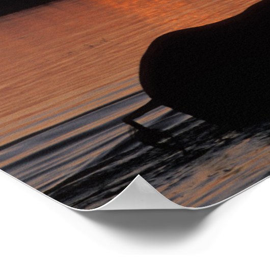 Afrika, Botswana, Nationaal Park Chobe, beslag van Poster (Hoek)