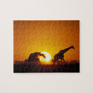 Afrika, Botswana, Nationaal park Chobe, Giraffe 2 Legpuzzel