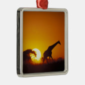 Afrika, Botswana, Nationaal Park Chobe, Giraffe 2 Metalen Ornament (Rechts)