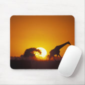 Afrika, Botswana, Nationaal park Chobe, Giraffe 2 Muismat (Met muis)