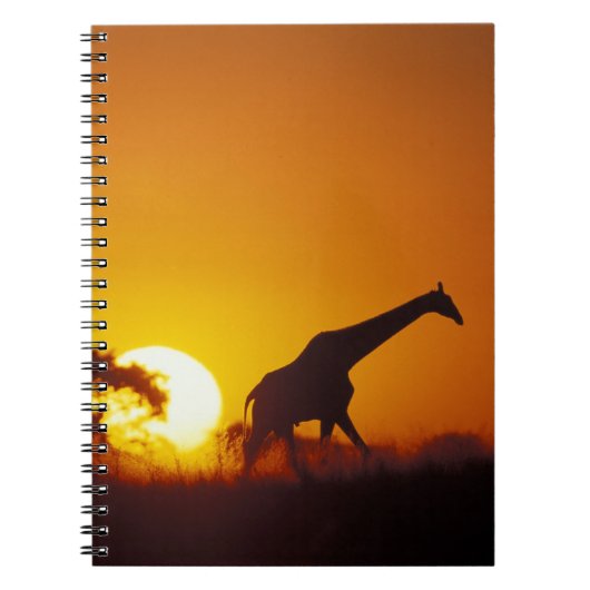 Afrika, Botswana, Nationaal park Chobe, Giraffe 2 Notitieboek (Voorkant)