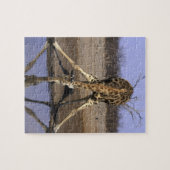 Afrika, Botswana, Nationaal park Chobe, Giraffe Legpuzzel (Horizontaal)