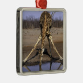 Afrika, Botswana, Nationaal park Chobe, Giraffe Metalen Ornament (Rechts)