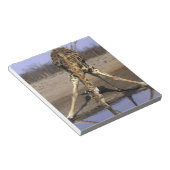 Afrika, Botswana, Nationaal park Chobe, Giraffe Notitieblok (Schuin)