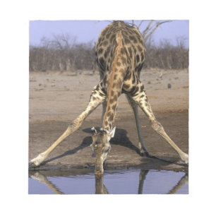 Afrika, Botswana, Nationaal park Chobe, Giraffe Notitieblok