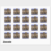 Afrika, Botswana, Nationaal park Chobe, Giraffe Vierkante Sticker (Vel)