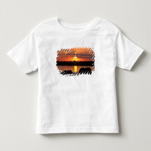 Afrika, Botswana, Nationaal park Chobe, Kudde Kinder Shirts (Voorkant)