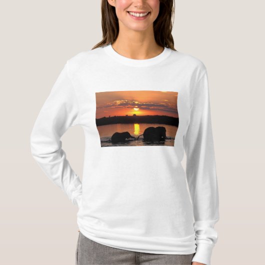 Afrika, Botswana, Nationaal park Chobe, Kudde T-shirt (Voorkant)