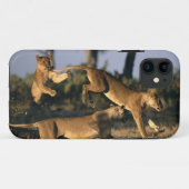 Afrika, Botswana, Nationaal park Chobe, Leeuwinnen Case-Mate iPhone Case (Achterkant (horizontaal))