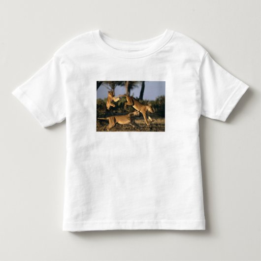 Afrika, Botswana, Nationaal park Chobe, Leeuwinnen Kinder Shirts (Voorkant)