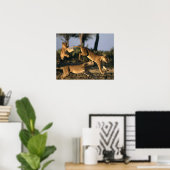 Afrika, Botswana, Nationaal park Chobe, Leeuwinnen Poster (Thuiskantoor)