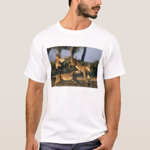 Afrika, Botswana, Nationaal park Chobe, Leeuwinnen T-shirt
