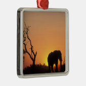 Afrika, Botswana, Nationaal Park Chobe, Vestiging Metalen Ornament (Rechts)