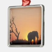 Afrika, Botswana, Nationaal Park Chobe, Vestiging Metalen Ornament (Links)