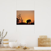 Afrika, Botswana, Nationaal Park Chobe, Vestiging Poster (Keuken)