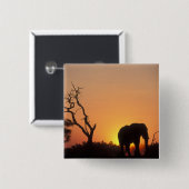 Afrika, Botswana, Nationaal Park Chobe, Vestiging Vierkante Button 5,1 Cm (Voorkant /achterkant)