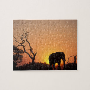 Afrika, Botswana, Nationaal park Chobe, Zonsonderg Legpuzzel