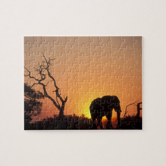 Afrika, Botswana, Nationaal park Chobe, Zonsonderg Legpuzzel (Horizontaal)