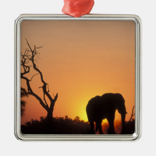 Afrika, Botswana, Nationaal park Chobe, Zonsonderg Metalen Ornament