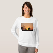 Afrika, Botswana, Nationaal park Chobe, Zonsonderg T-shirt (Voorkant volledig)