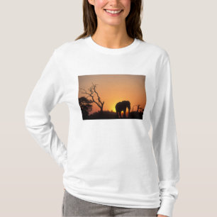 Afrika, Botswana, Nationaal park Chobe, Zonsonderg T-shirt