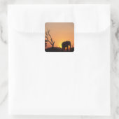 Afrika, Botswana, Nationaal park Chobe, Zonsonderg Vierkante Sticker (Tas)