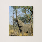Afrika, Botswana, Okavango Delta. Afrika 2 Legpuzzel (Verticaal)