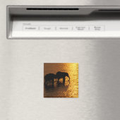 Afrika, Botswana, Okavango Delta. Afrikaans Magneet (Insitu (Vaatwasser))