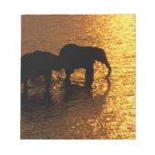 Afrika, Botswana, Okavango Delta. Afrikaans Notitieblok (Voorkant)