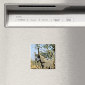 Afrika, Botswana, Okavango Delta. Afrikaanse 2 Magneet (Insitu (Vaatwasser))