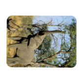 Afrika, Botswana, Okavango Delta. Afrikaanse 2 Magneet (Horizontaal)