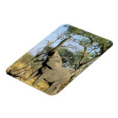 Afrika, Botswana, Okavango Delta. Afrikaanse 2 Magneet (Linkerzijde)
